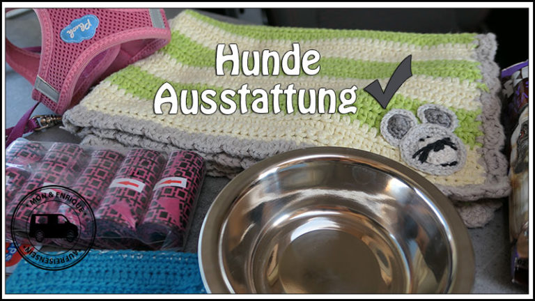 Hunde Ausstattung im Kastenwagen Auf Reisen sein