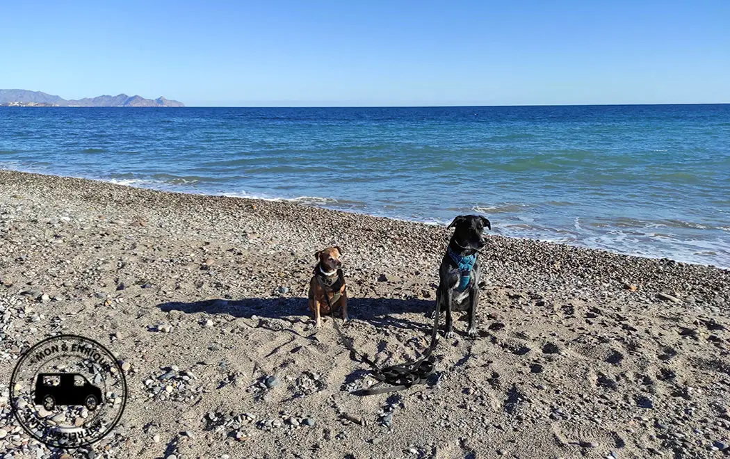 Hundestrand Playa Cobaticas