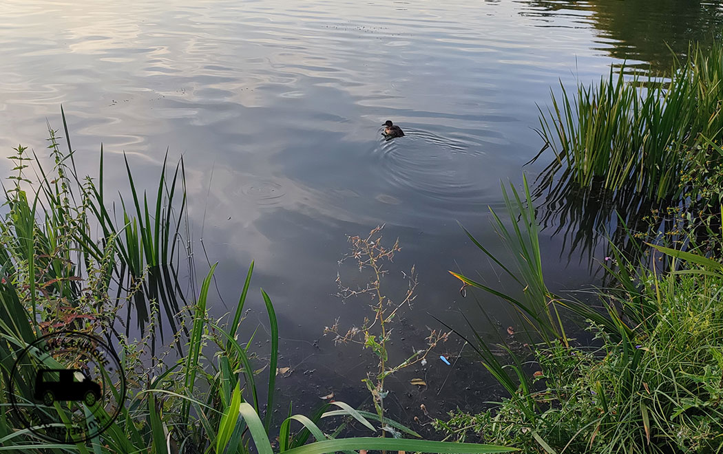 Naturfreibad